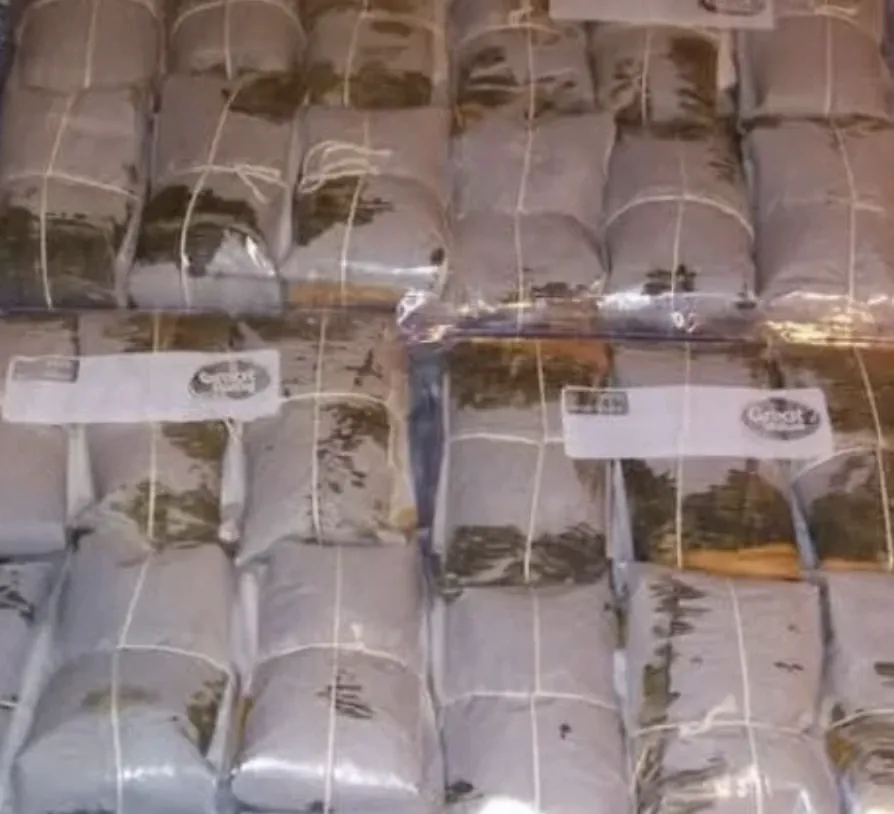 Green Banana Pasteles, $40 / Dozen